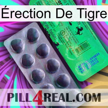 Érection De Tigre new04